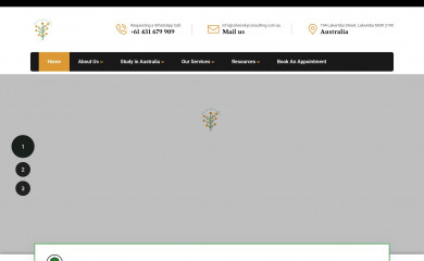 silverskyconsulting.com.au screenshot
