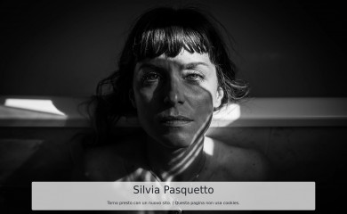 silviapasquetto.com screenshot