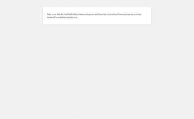 sinetgroup.com screenshot