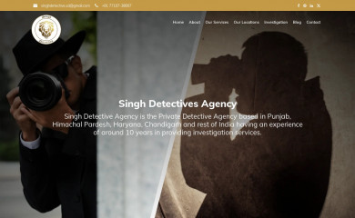 singhdetective.com screenshot