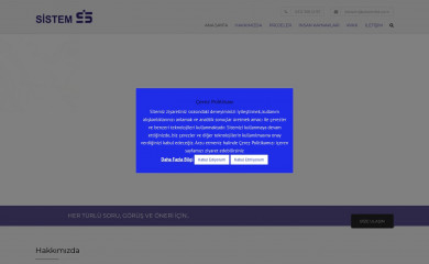 sistemltd.com screenshot