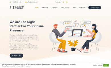 https://www.site-salt.com/ screenshot