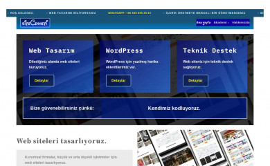 sitecenneti.com screenshot