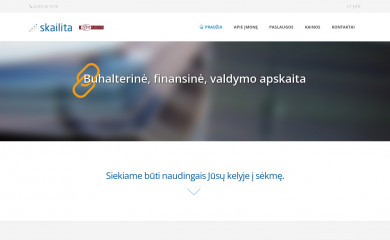 skailita.lt screenshot