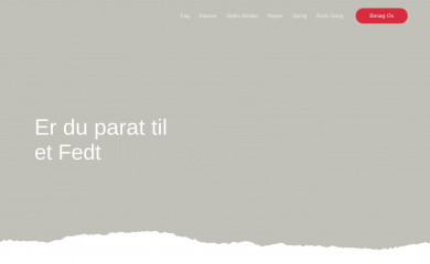 ske.dk screenshot