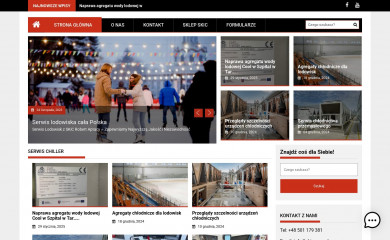 skic.com.pl screenshot
