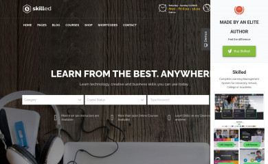 http://skilled.aislinthemes.com/ screenshot