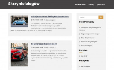 skrzyniebiegow.net.pl screenshot
