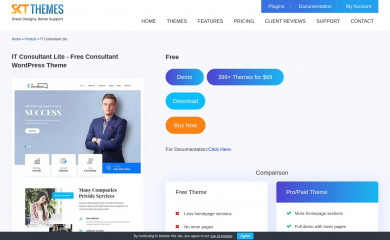 SKT IT Consultant screenshot