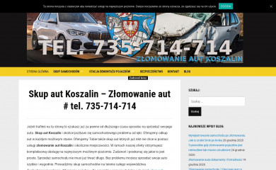 skupautkoszalin.pl screenshot