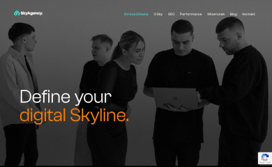 skyagency360.pl screenshot