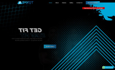 skyfitnessng.com screenshot