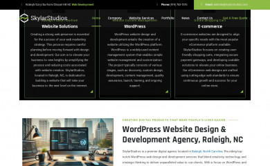 skylarstudios.com screenshot
