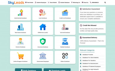 skyleads.in screenshot