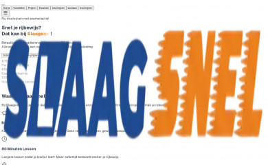 slaagsnel.nl screenshot