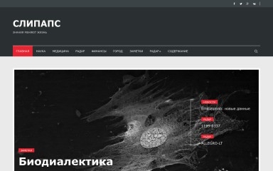 slipups.ru screenshot