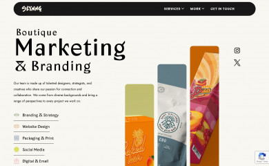 slynngstudio.com screenshot