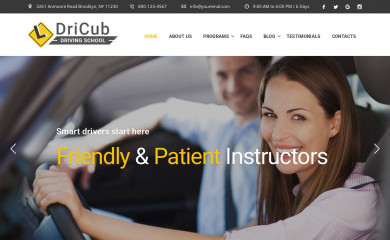 https://smartdata.tonytemplates.com/dricub-driving-school/ screenshot
