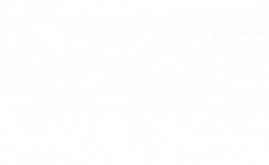 smartlify.com screenshot