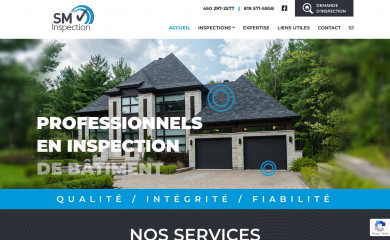 sminspection.com screenshot