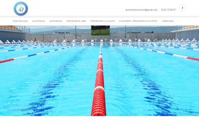 smsorg.ge screenshot