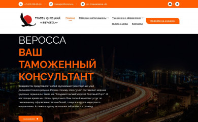 smsrv.ru screenshot