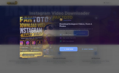 snapinsta.net screenshot