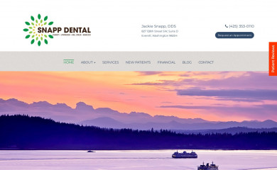 snappdental.com screenshot