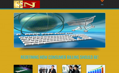 snjbilling.com screenshot