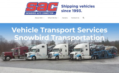 snowbirdsautoconnection.com screenshot