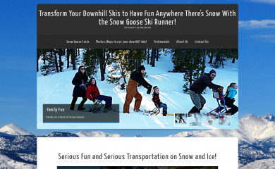 snowgooseskisled.com screenshot