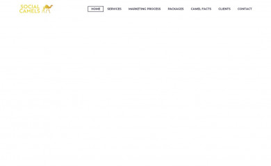 socialcamels.com screenshot