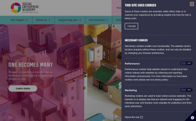 socialenterprise.academy screenshot