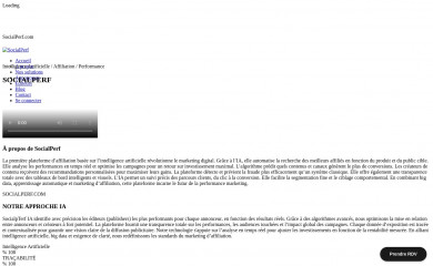 socialperf.com screenshot