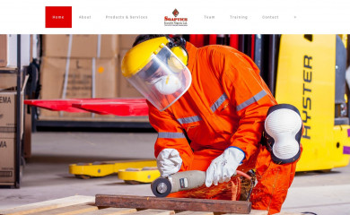 soapticssecurityng.com screenshot