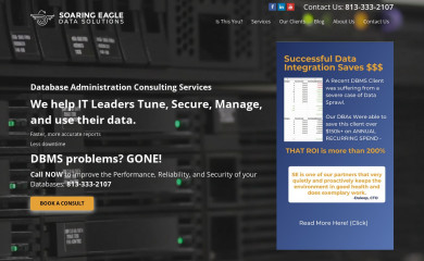 soaringeagle.biz screenshot