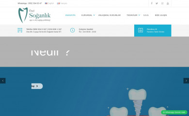 soganlikadsp.com screenshot