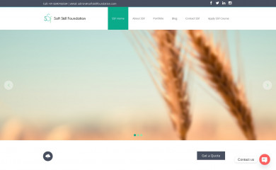 softskillfoundation.com screenshot