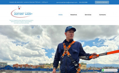 soinser.com screenshot