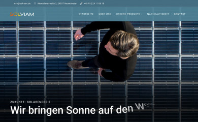 solviam.de screenshot