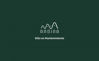 somosandina.co screenshot