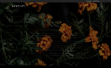 sosein-restaurant.de screenshot