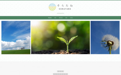 soratane.jp screenshot