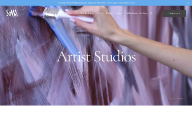 sowaboston.com screenshot