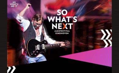 sowhatsnext.nl screenshot