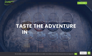 soundsconnection.com screenshot