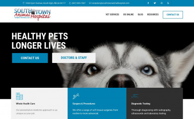 southtownanimalhospital.com screenshot