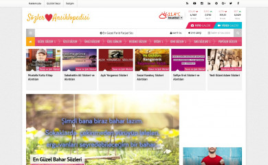 sozleransiklopedisi.com screenshot