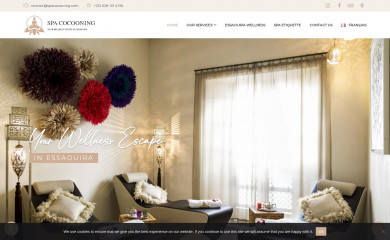 spacocooning.com screenshot