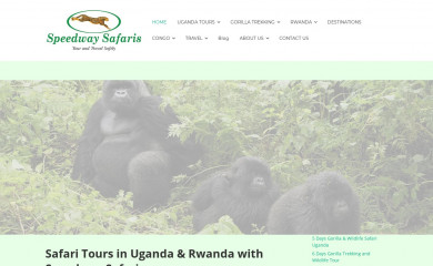 speedwaysafaris.com screenshot